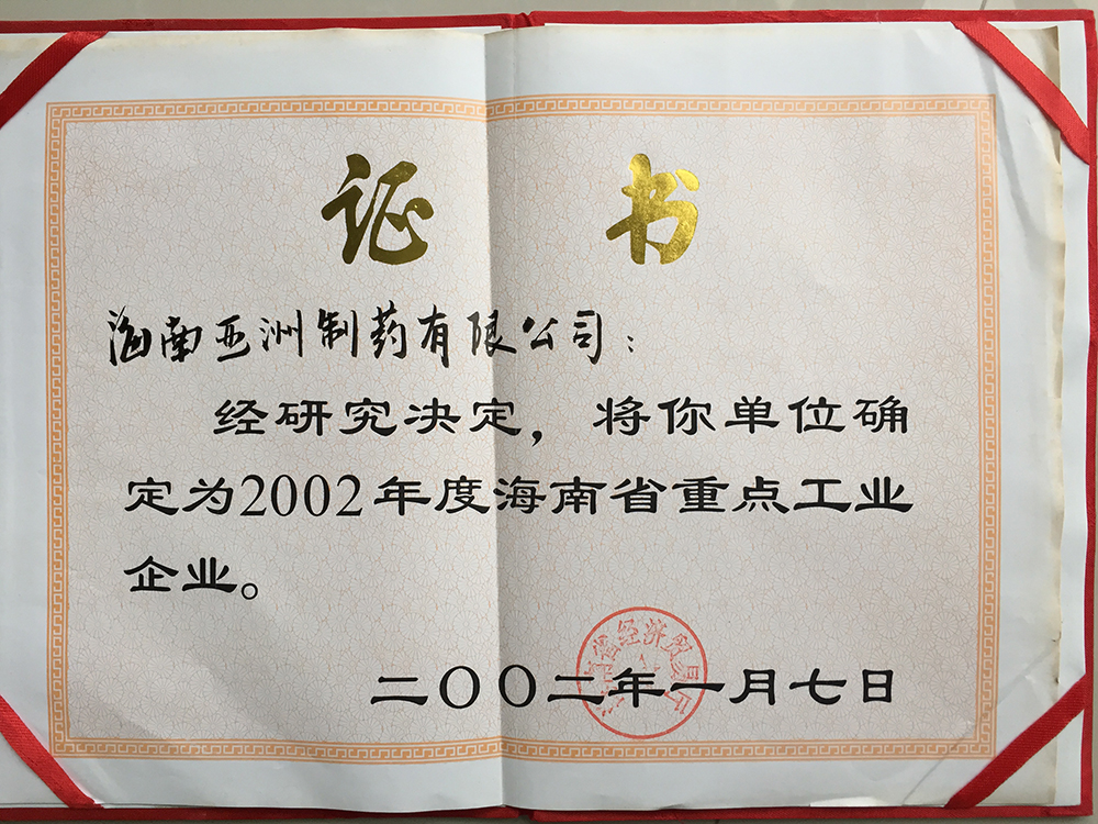 02年海南省重點工業(yè)企業(yè)